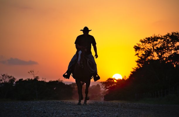 Pferd Reiter Sonnenuntergang
