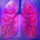 Lunge trainieren mit Mundharmonika