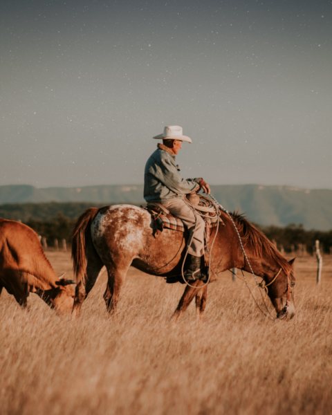 Cowboy auf Pferd in Prärie