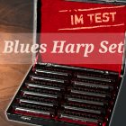 mundharmonika blues harp set test harley benton